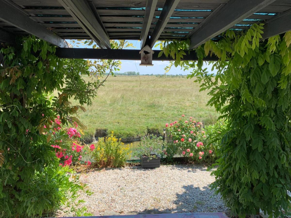 Chalet Bord De Mer 6 Couchages Villa Merville-Franceville-Plage Exterior foto